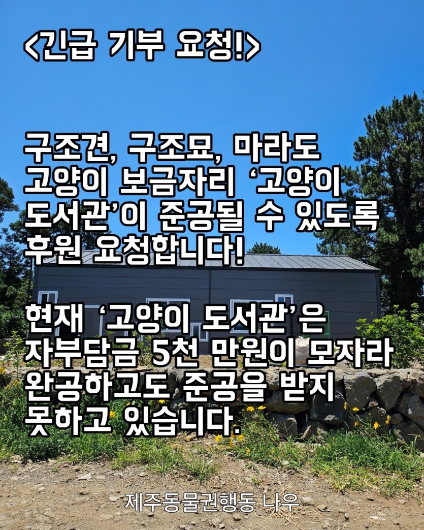 ed6e4e5a618e4eb477b3d7686c279bcc_1751860028_3306.jpg